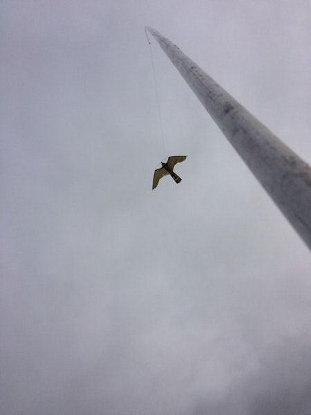 Fågelskrämma aluminium 4 m med drake.