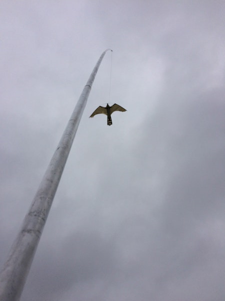 2 st Fågelskrämma aluminium 4 m med drake.