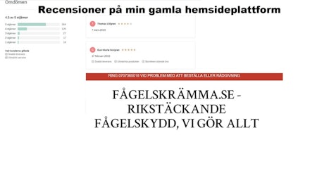 Fågelskrämma aluminium 3,8 med drake. Fraktfritt