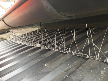 Fågelpiggar, fågelspik 100 % Rostfria 12,5 meter,