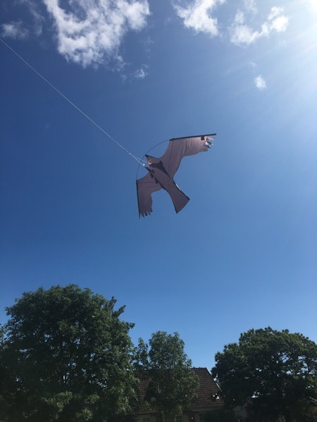 Fågelskrämma Komplett 6 meter med drake + 1 st boll