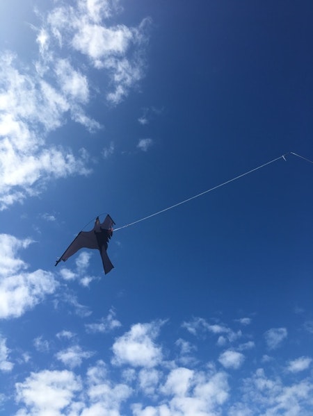 Fågelskrämma med drake 2 pack 7 m. Fraktfritt.