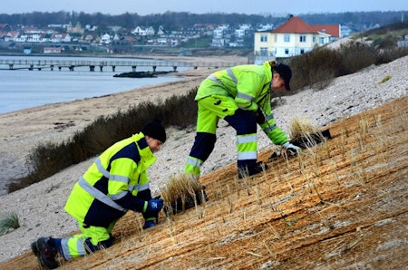 Kokosnät 1 x 20 meter på rulle 740 g / m²