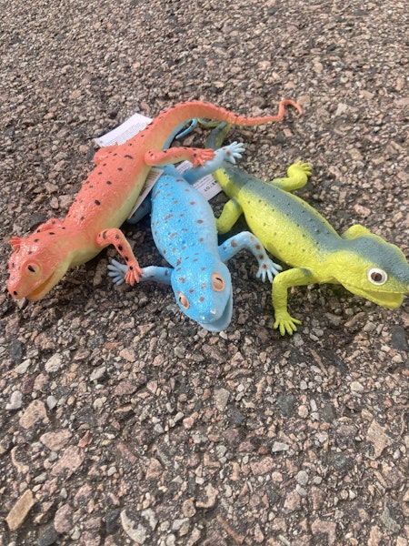 3 st olika ödlor ca. 30 cm (OBS! slumpmässigt urval, ej som på bild)