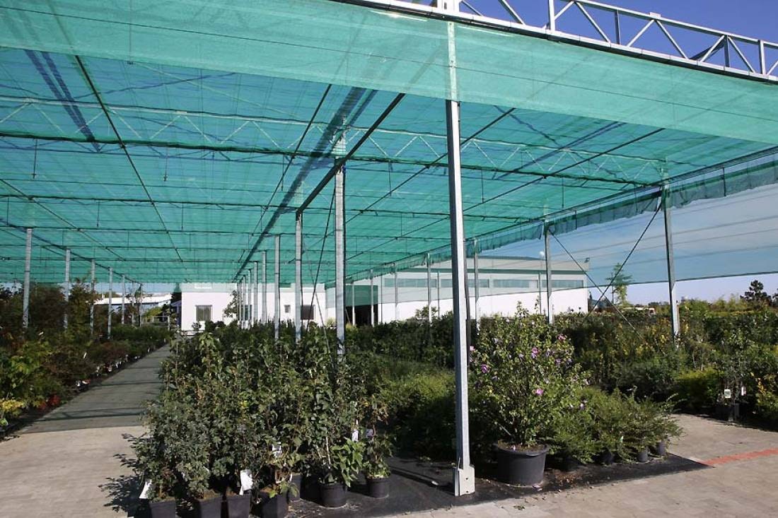Skuggnät 3m x 25m, Fraktfritt, UV, grön 55g/m²