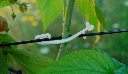 Rema Rebstar bio 500 st klämmor