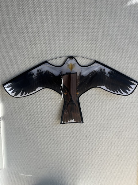 Drake örnen 102 cm, ord 350 kr