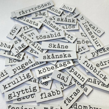 Kylskåpspoesi på skånska