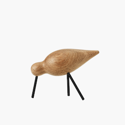 Shorebird - Medium