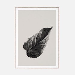 Sabi Leaf 01 - 50x70 cm