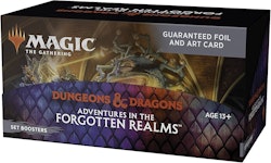 Dungeon and Dragons Adventures in the Forgotten Realms Setdisplay