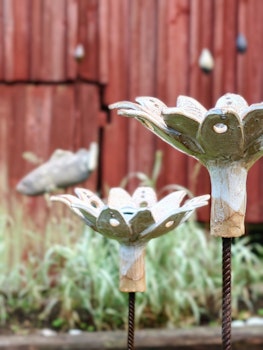 Elsas näckros