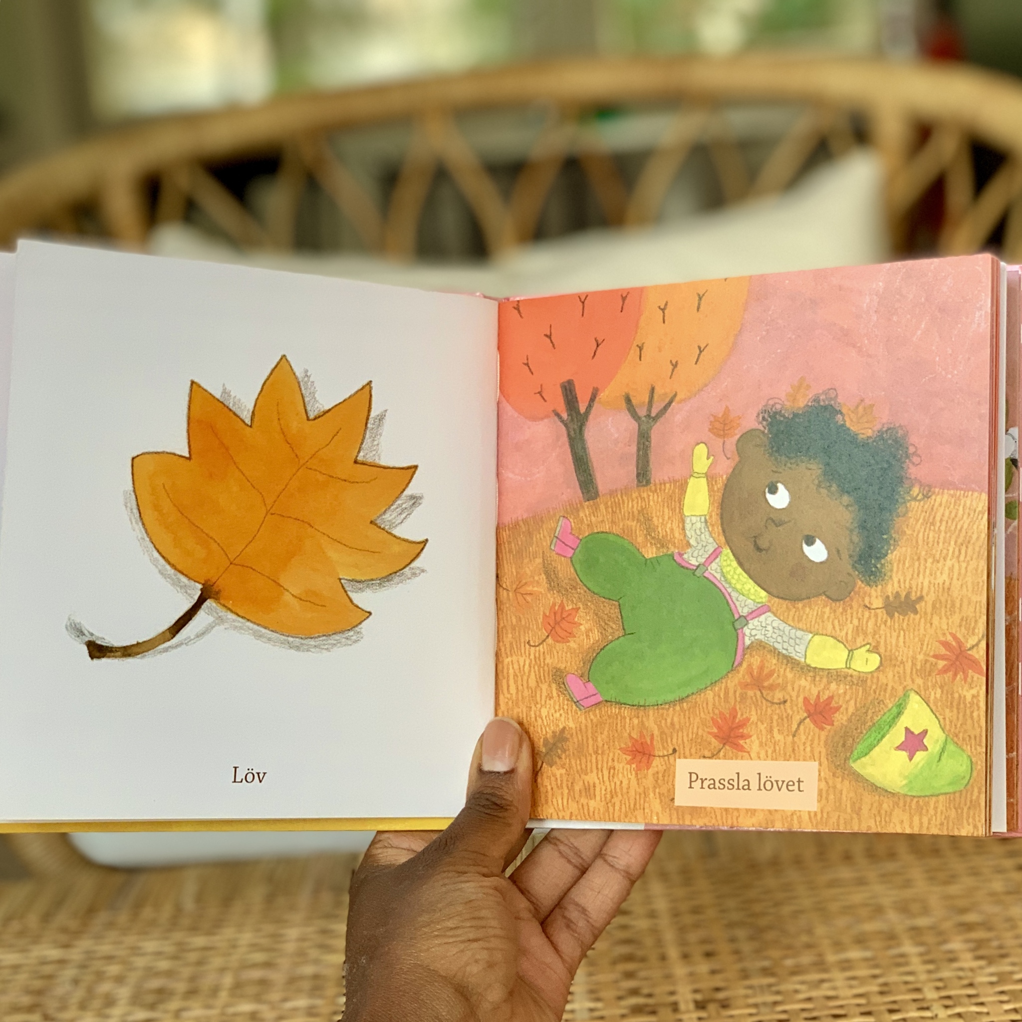 Boktitel Titta Parken, normkreativ bok där barn med mörk hy är representerade. Från Olika förlag, Författare Åsa Mendel-Hartvig, illustratör Maija Hurme