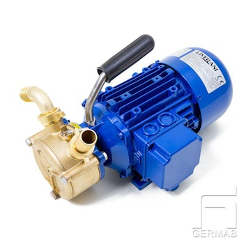 Ringpump 25 l/min brons 12V
