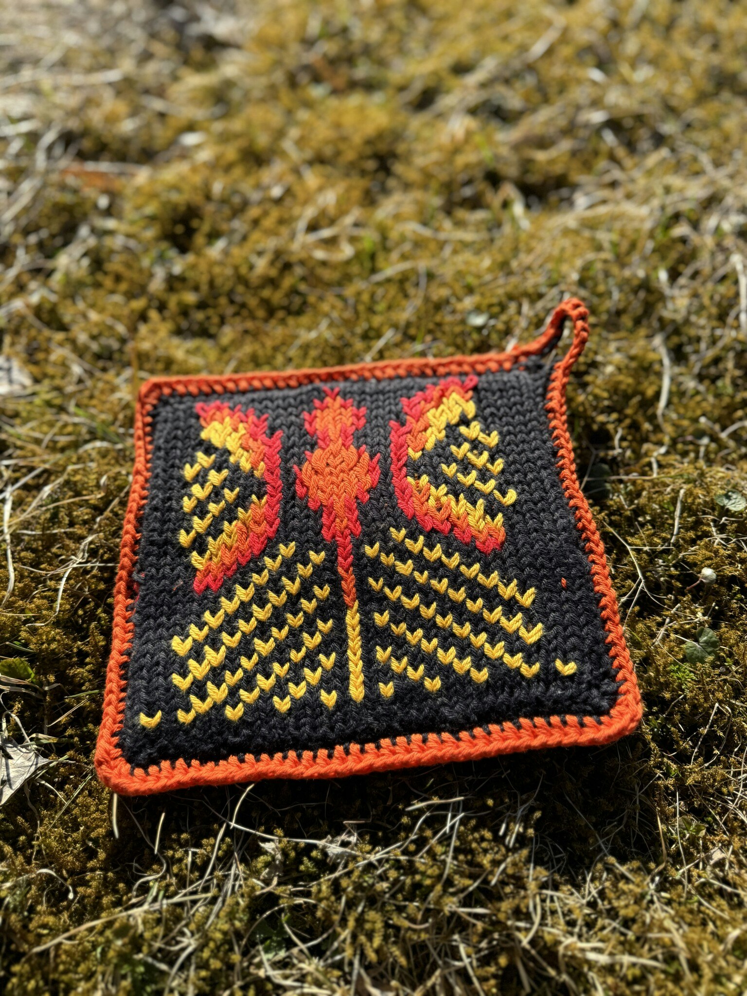 Grytlapp - Dragonfly
