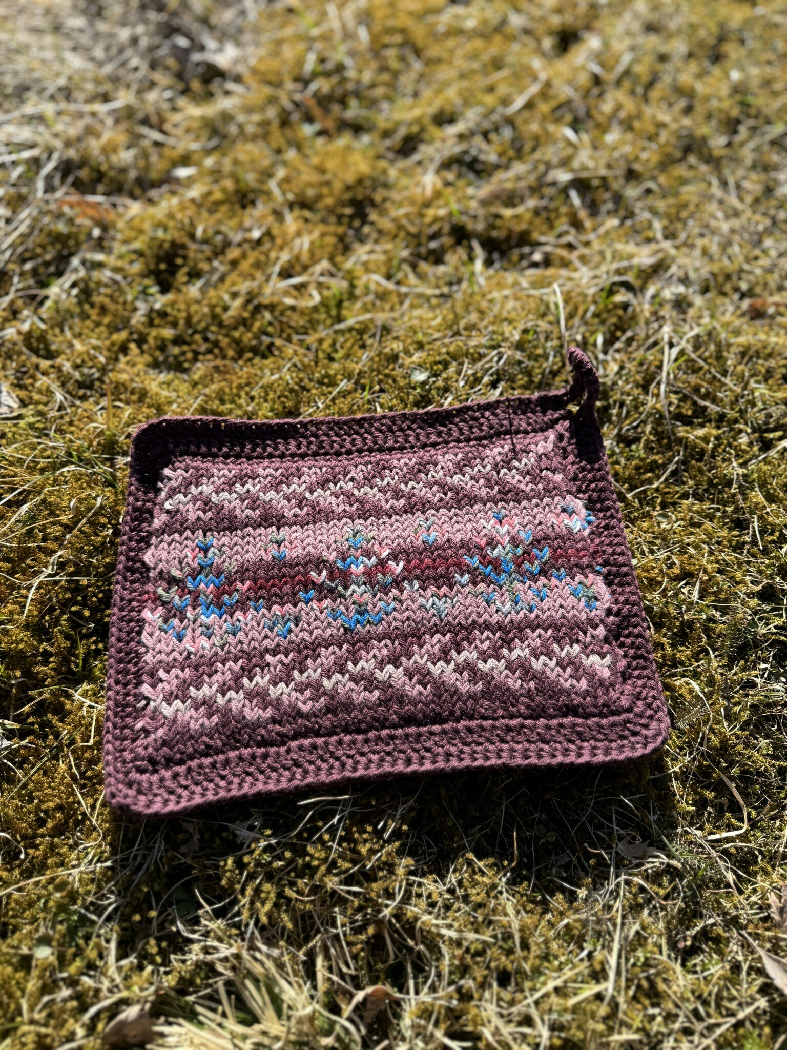 Grytlapp - Vårblom