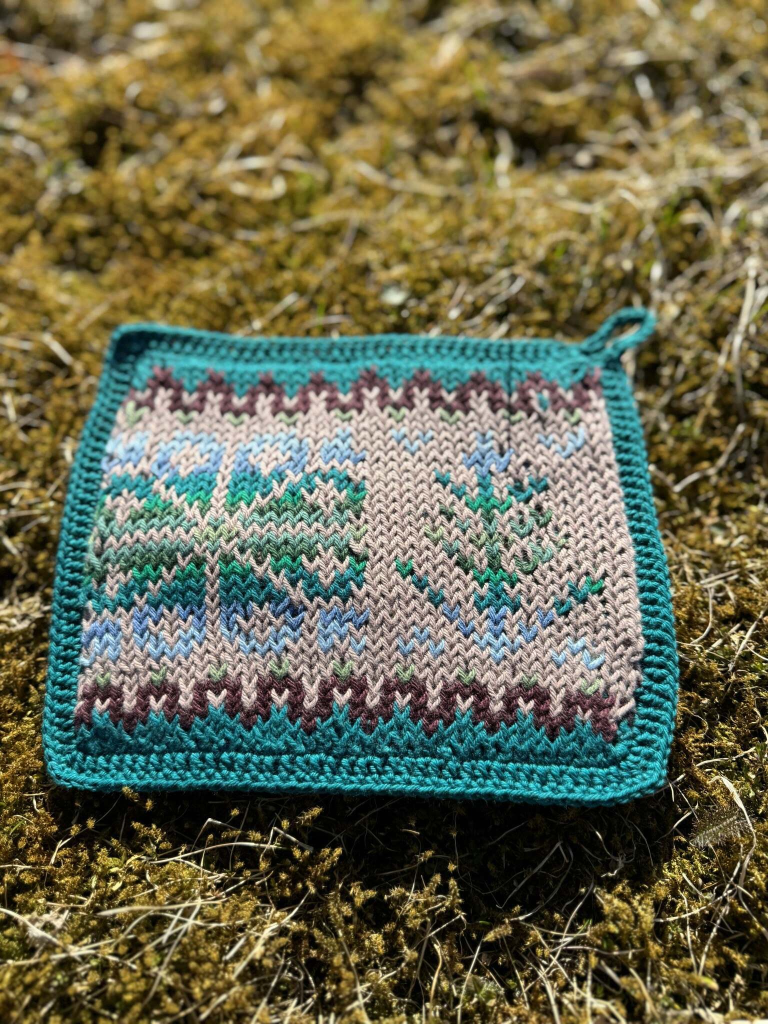 Grytlapp - Fair Isle