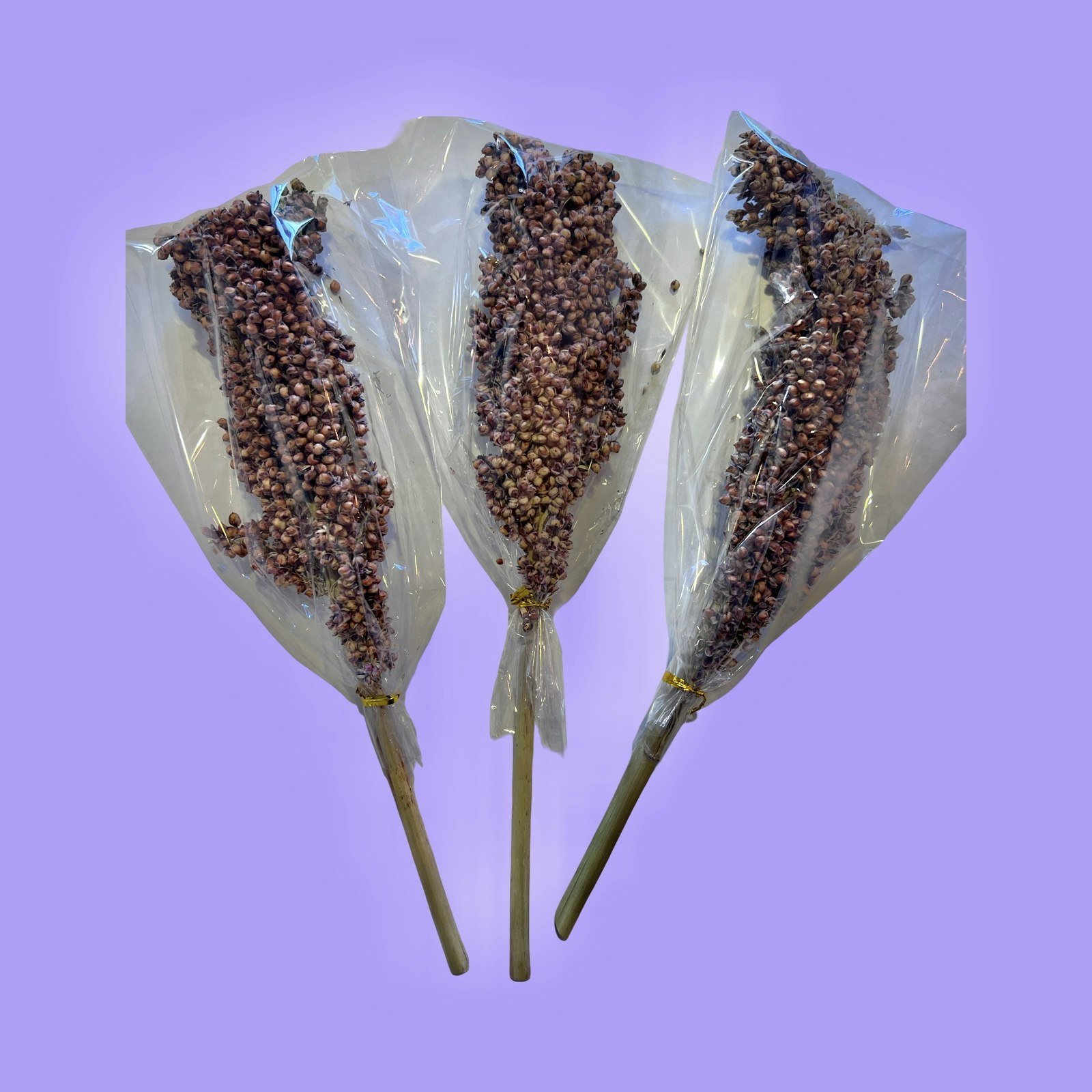 Hvit Sorghum 40g