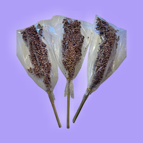 Hvit Sorghum 40g