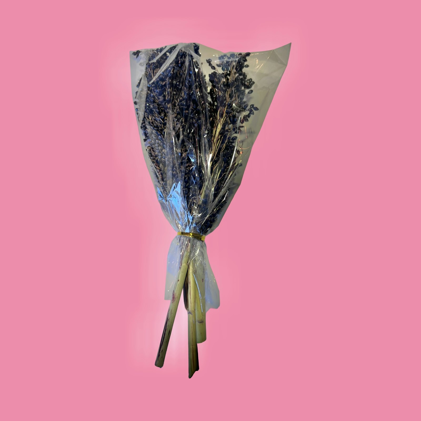 Svart Sorghum 40g