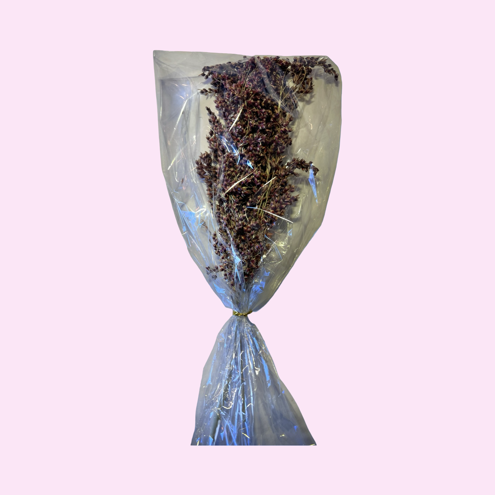 Sudangress 70g
