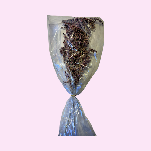 Sudangress 70g