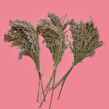 Vipphirse 30g