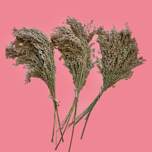 Vipphirse 30g