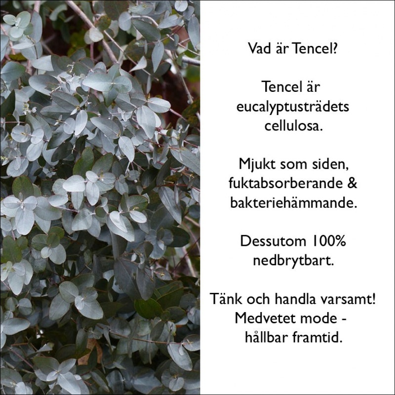 Handla hållbart med Calida.
