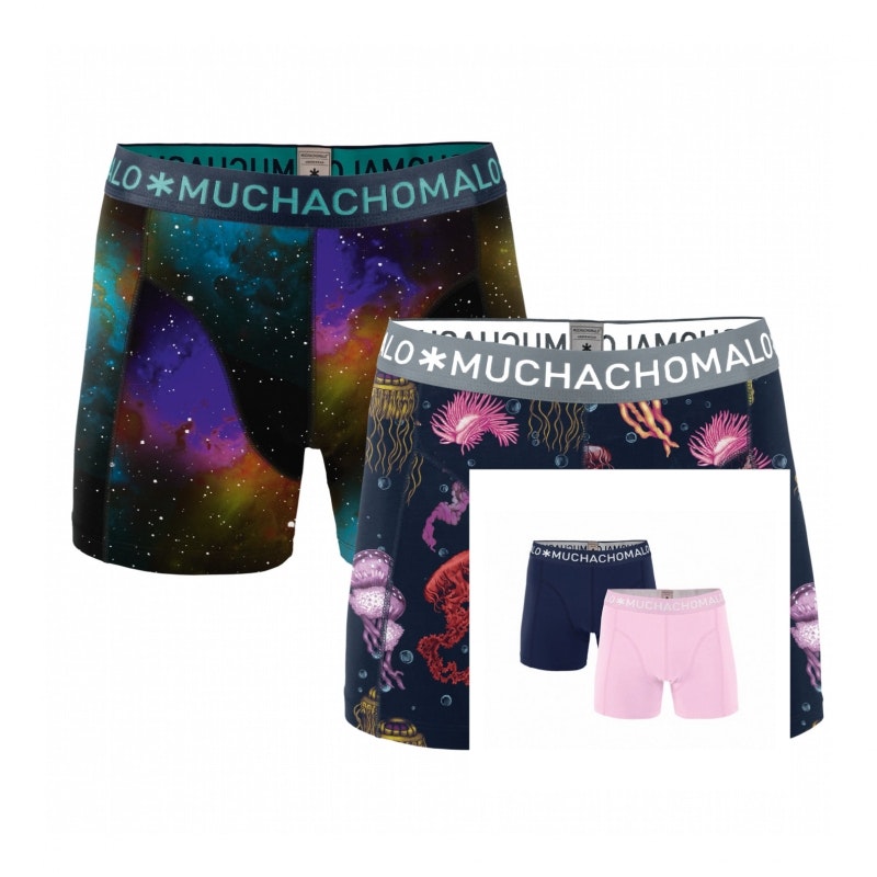 Muchachomalo boxer till din Valentin