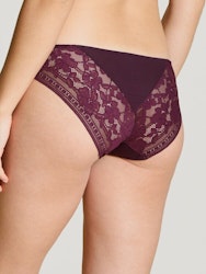 Calida Trosa Modal Sense Brief 22057 / 218