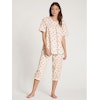 Calida pyjamas Soft Cotton 44050/ 242