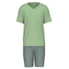 Calida herrpyjamas kort 47187 613 iris green