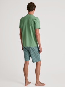 Calida herrpyjamas kort 47186 623 stone green