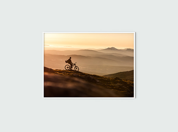 Downhill Biker Poster