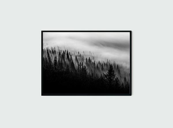 Misty Trees Poster