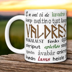 Valdres- koppen, med ord og uttrykk fra Valdres