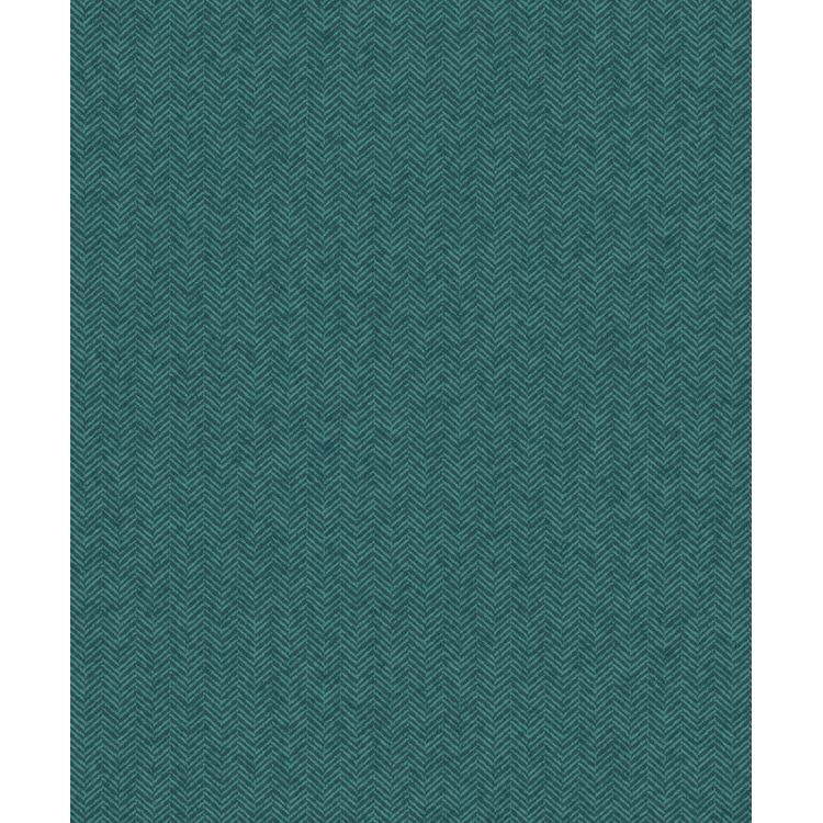 Kaffir Teal