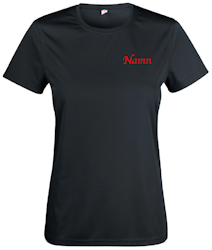Basic Active-T, dam