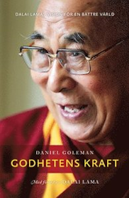 Goleman, Daniel "Godhetens kraft : Dalai lamas vision för en bättre värld" INBUNDEN