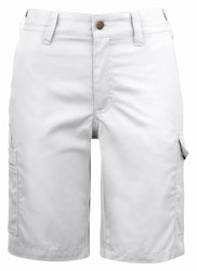 2529 SHORTS DAM