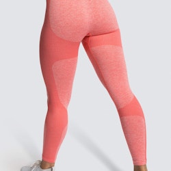 Zhiva Fitness/gym-tights corall