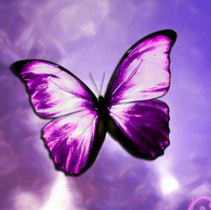 Diamanttavla Purple Butterfly 30x30