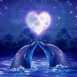 Diamanttavla Dolphin Love 40x50