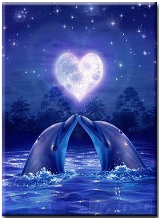 Diamanttavla Dolphin Love 40x50