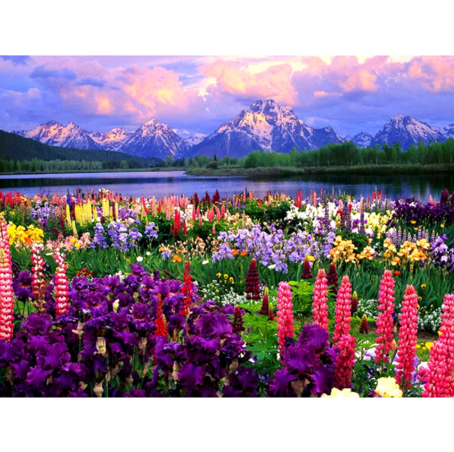 Diamanttavla Scenic Colorful Flowers 50x70