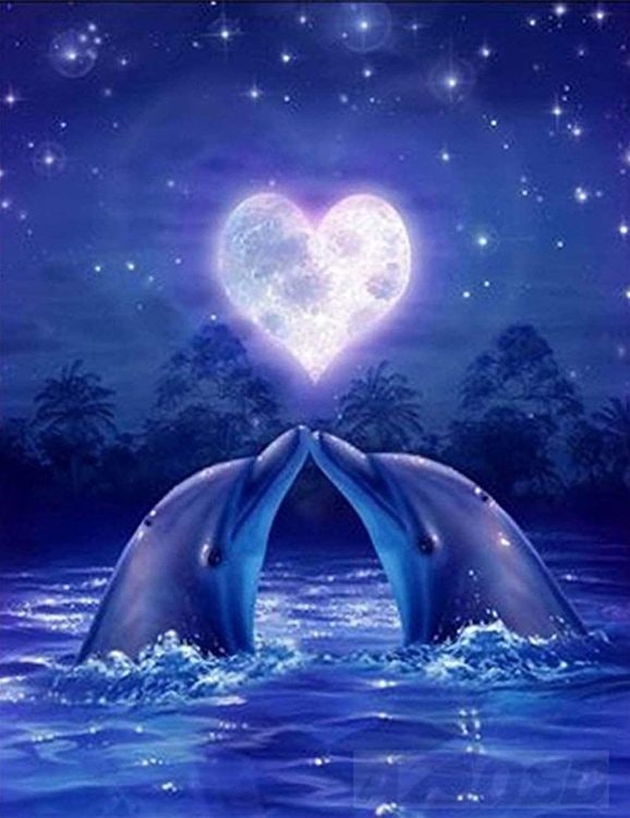 Diamanttavla (R) Dolphin Love 40x50