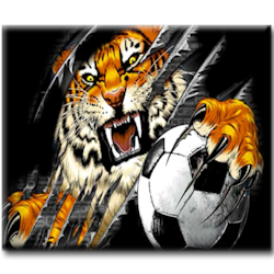 Diamanttavla Footballer Tiger 40x50