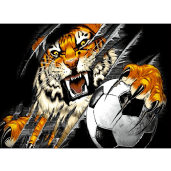 Diamanttavla Footballer Tiger 40x50
