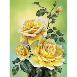 Diamanttavla Yellow Roses 30x40 - Leveranstid 1-3 Dagar
